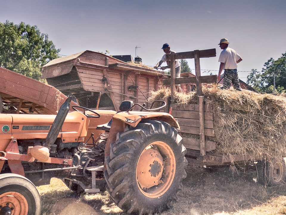 Fête des Battages et Vide Grenier 2016